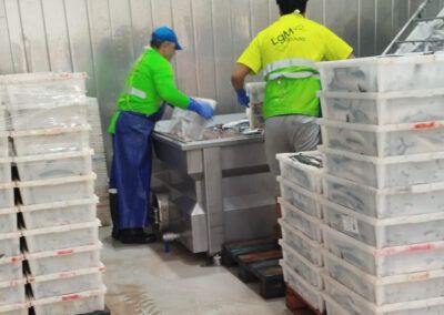 Servicios de seleccion de personal para carga y descarga